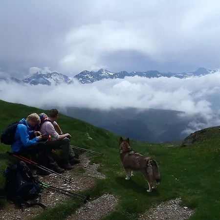 Pyrenees Emotions, Eco-responsables, Nature, Sports Aventures Malvézie