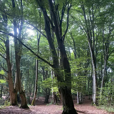 Pyrenees Emotions, Eco-responsables, Nature, Sports Aventures Bed and Breakfast 3*