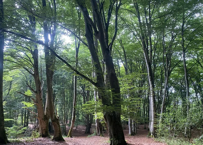 Pyrenees Emotions, Eco-responsables, Nature, Sports Aventures فندق مبيت وإفطار 3*